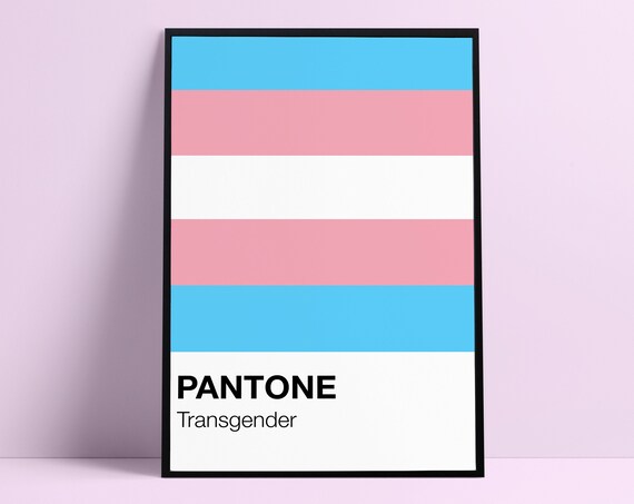 Pantone Transgender Pride Flag Color Swatch Style Equality Wall Poster