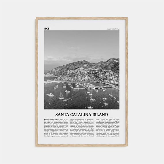 Santa Catalina Island Black And White No. 2 Art Print