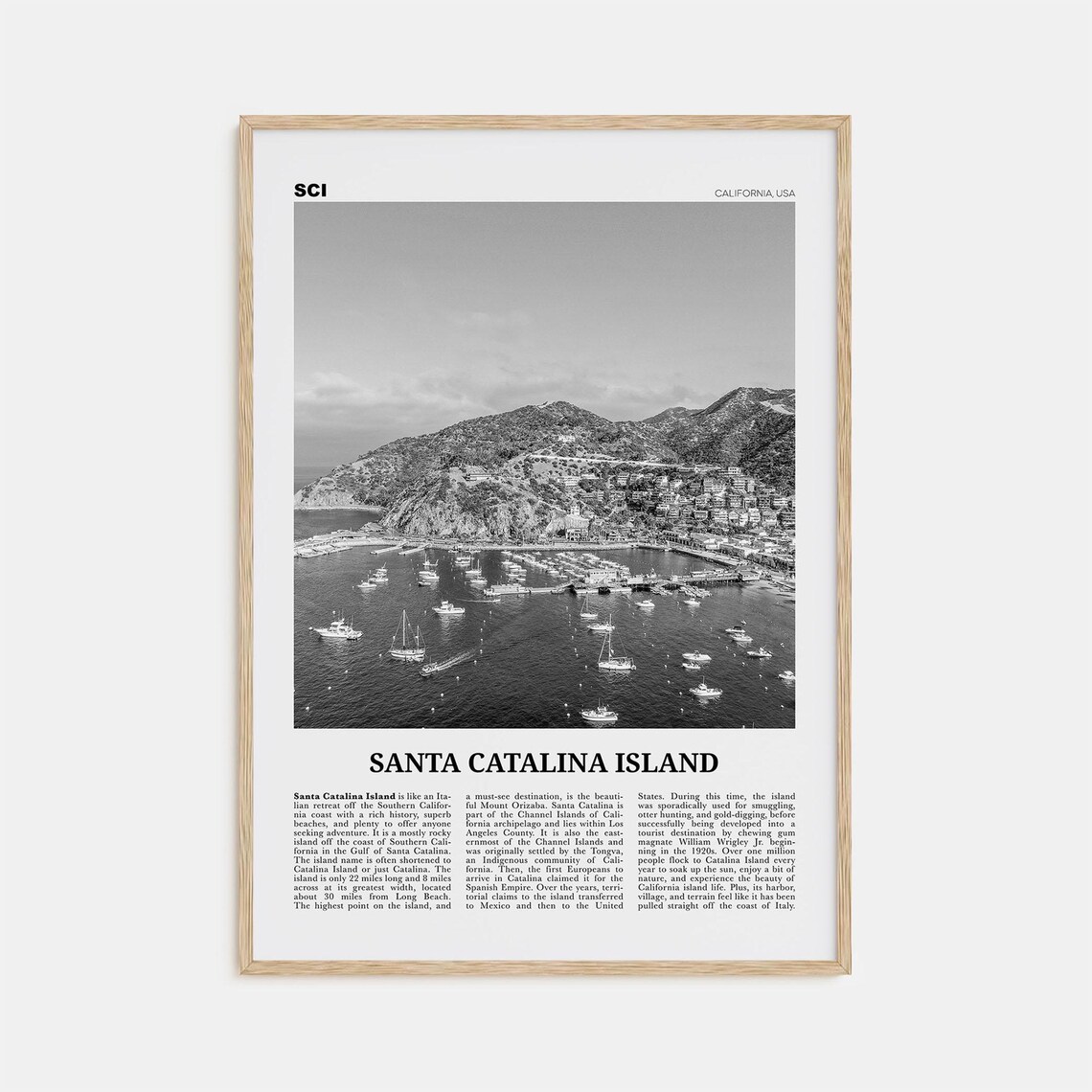 Santa Catalina Island Black And White No. 2 Art Print