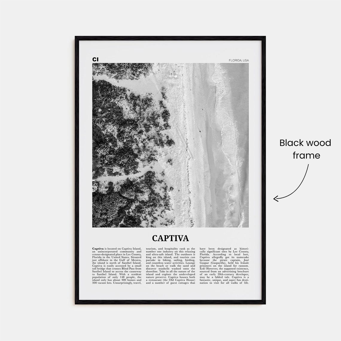Captiva Island Black and White Travel Poster - Image 3