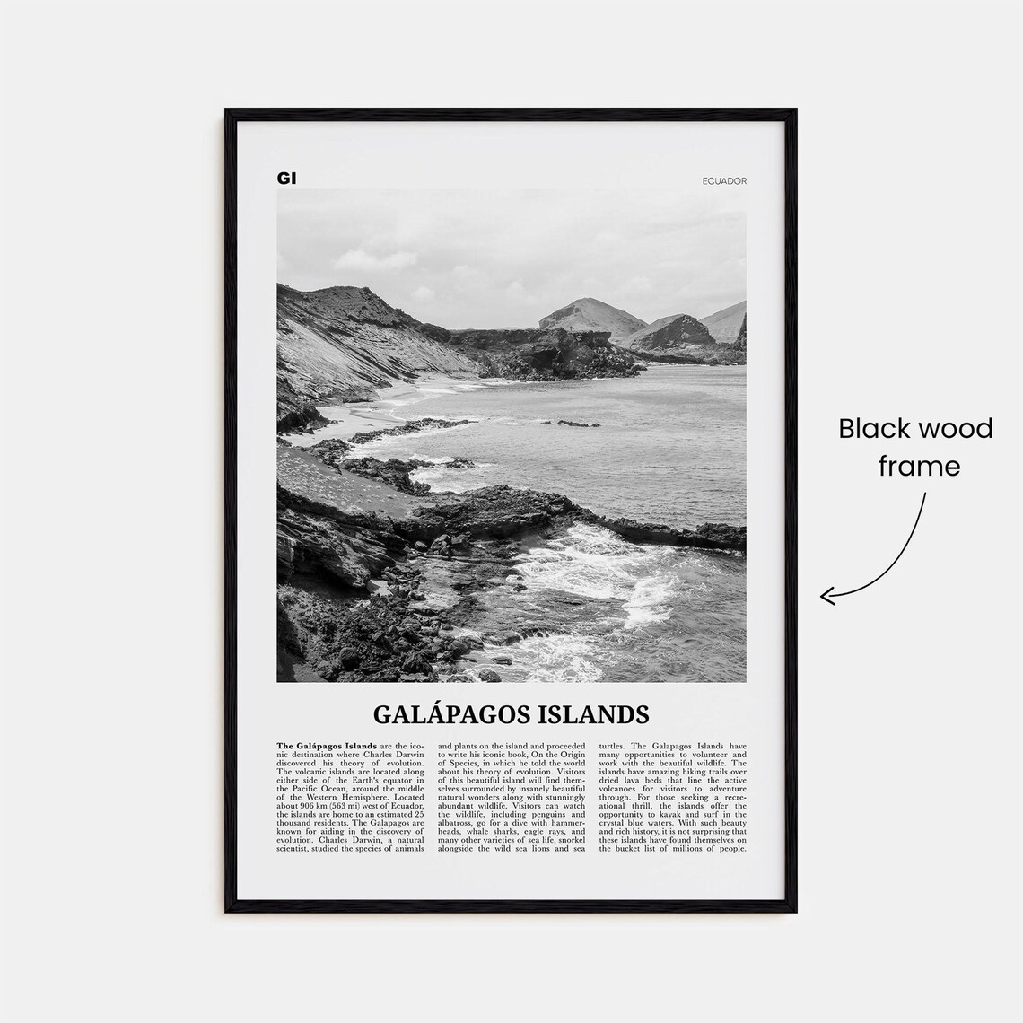 Galapagos Islands Black and White Travel Poster - Image 3