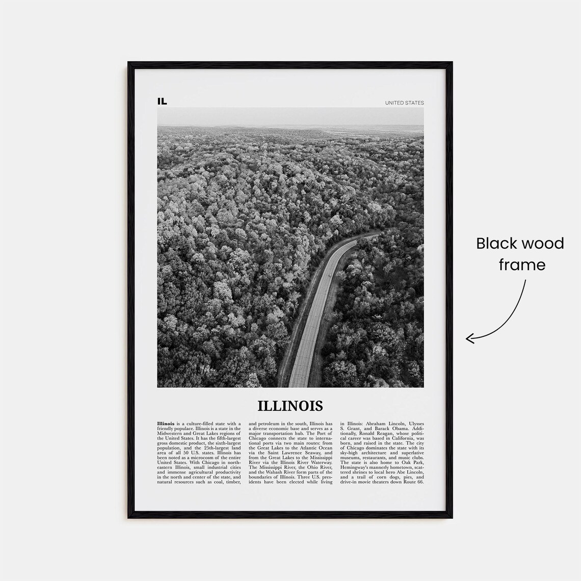 Illinois No. 2 Black and White Map Art Poster - Image 3