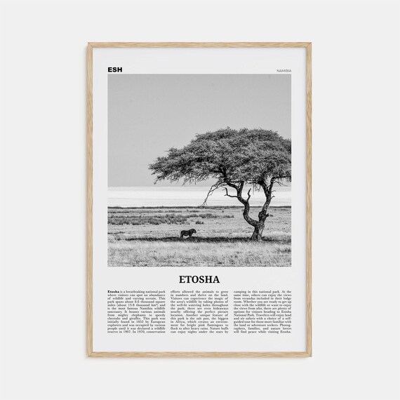 Etosha National Park Map, Black And White Art Print