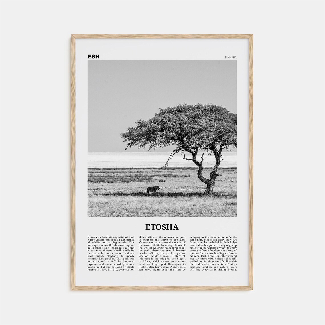 Etosha National Park Map, Black And White Art Print