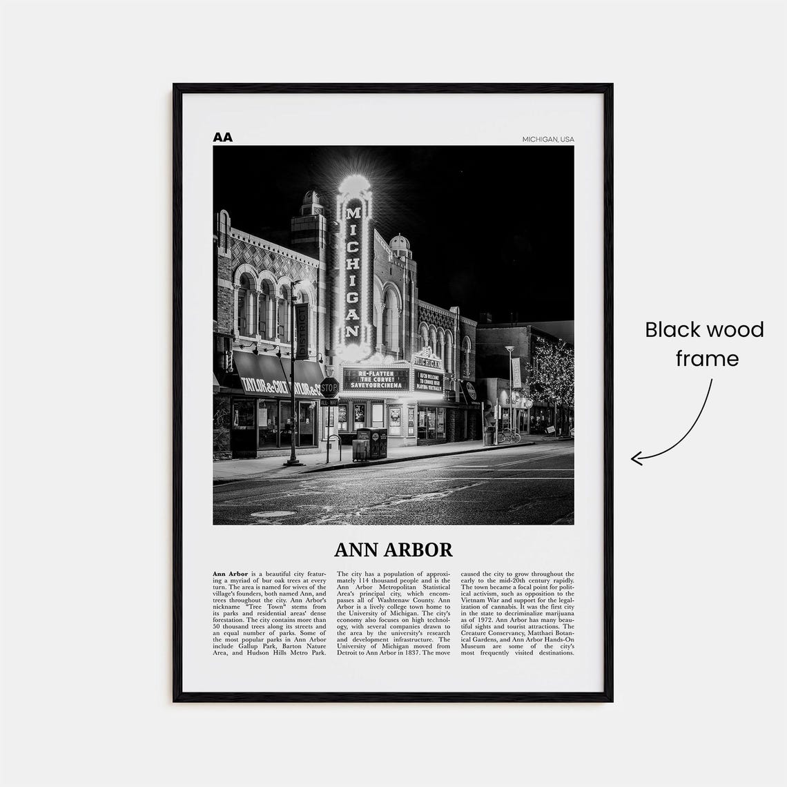 Ann Arbor Black and White Travel Poster No. 1 - Image 3