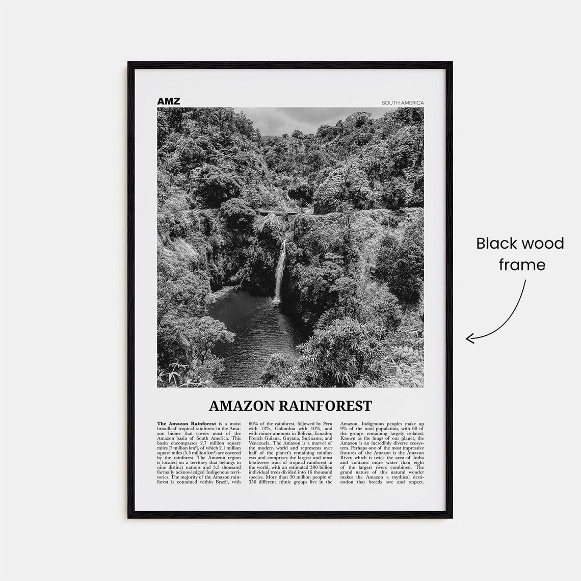 Amazon Rainforest Black And White Poster - Image 3