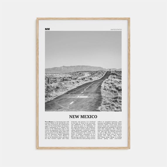 New Mexico No. 1 Black and White Travel Poster Print