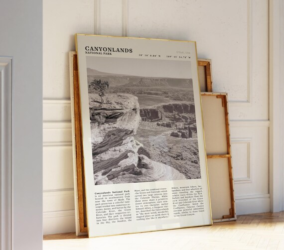Canyonlands National Park Utah Desert Black and White Travel Poster