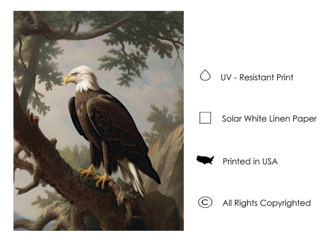 Bald Eagle Perched on a Tall Pine Branch Vintage Bird of Prey Poster - Image 4