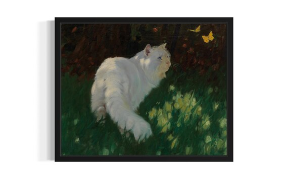 White Longhaired Cat In Sunlit Garden Watching Yellow Butterflies Poster