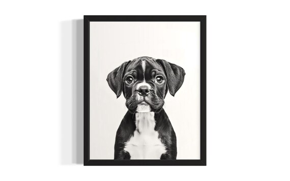 Boxer Puppy Portrait Black And White Cute Little Dog Photo Print