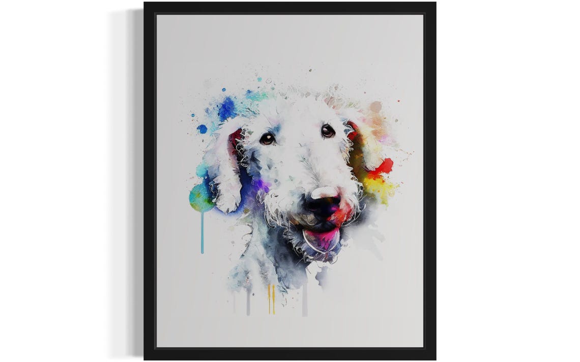 Bedlington Terrier Dog Colorful Splash Watercolor Portrait Poster