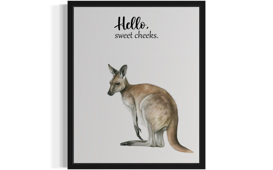 Cute Wallaby Sitting Hello Sweet Cheeks Funny Bathroom Poster