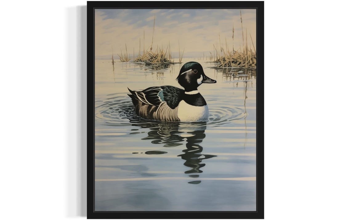 Bufflehead Duck Waterfowl Art Print