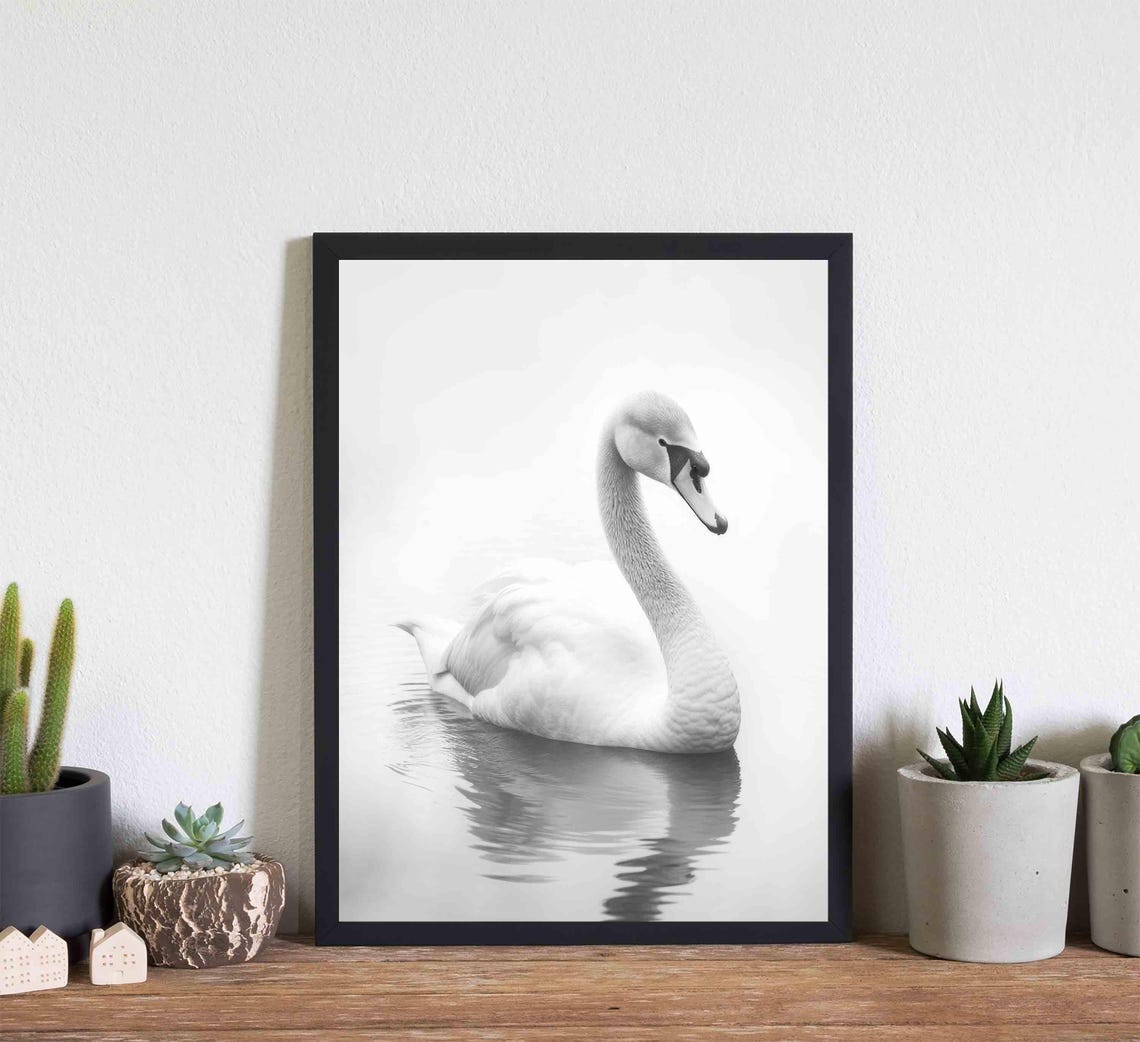 Mute Swan Black and White Elegant Water Reflection Portrait Poster - Image 2