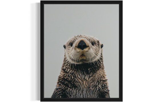 Playful Sea Otter Face Close-Up on Gray Background Photo Poster