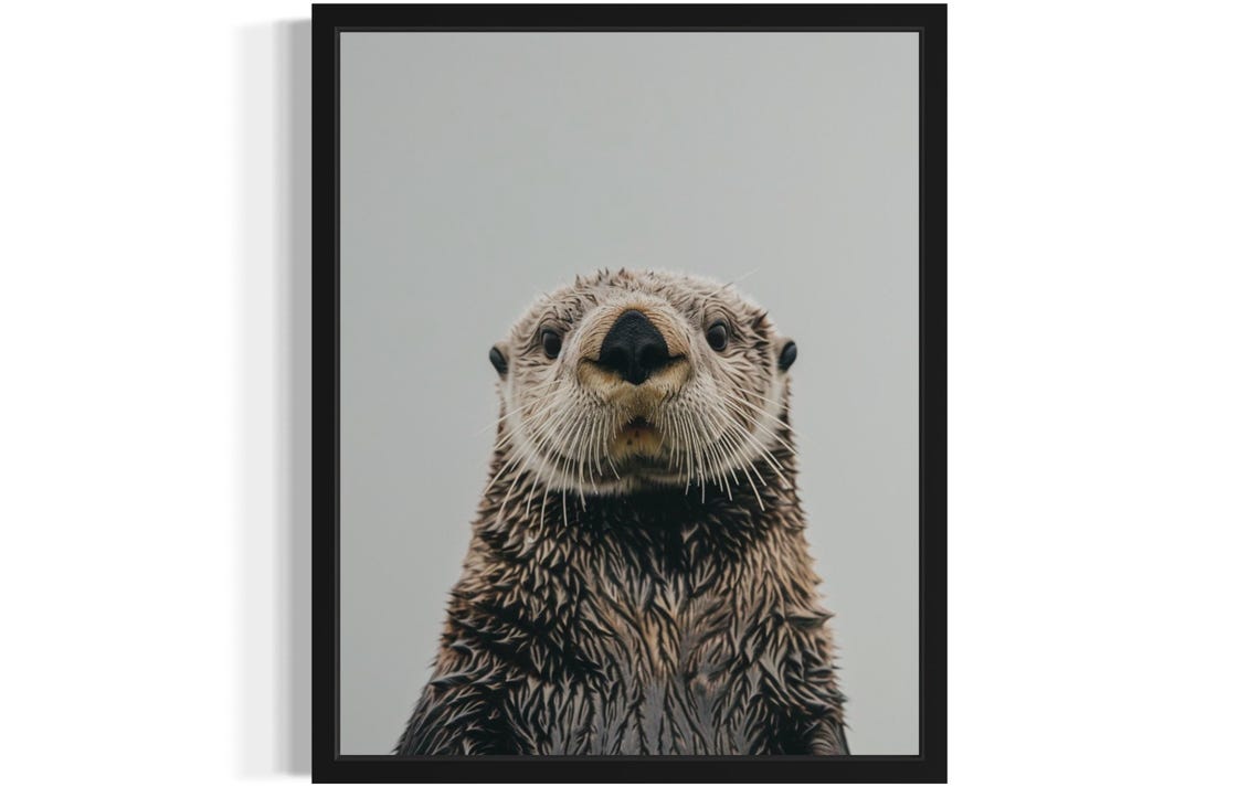 Playful Sea Otter Face Close-Up on Gray Background Photo Poster