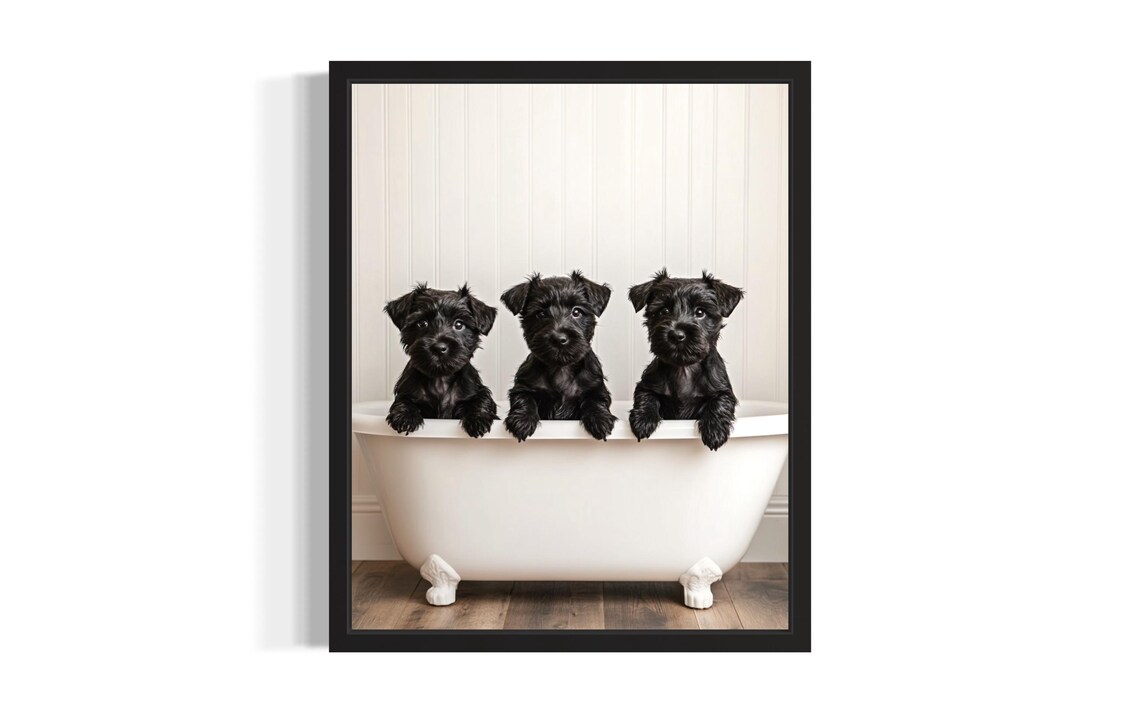 Three Fluffy Black Schnauzer Puppies in Clawfoot Tub Cute Poster