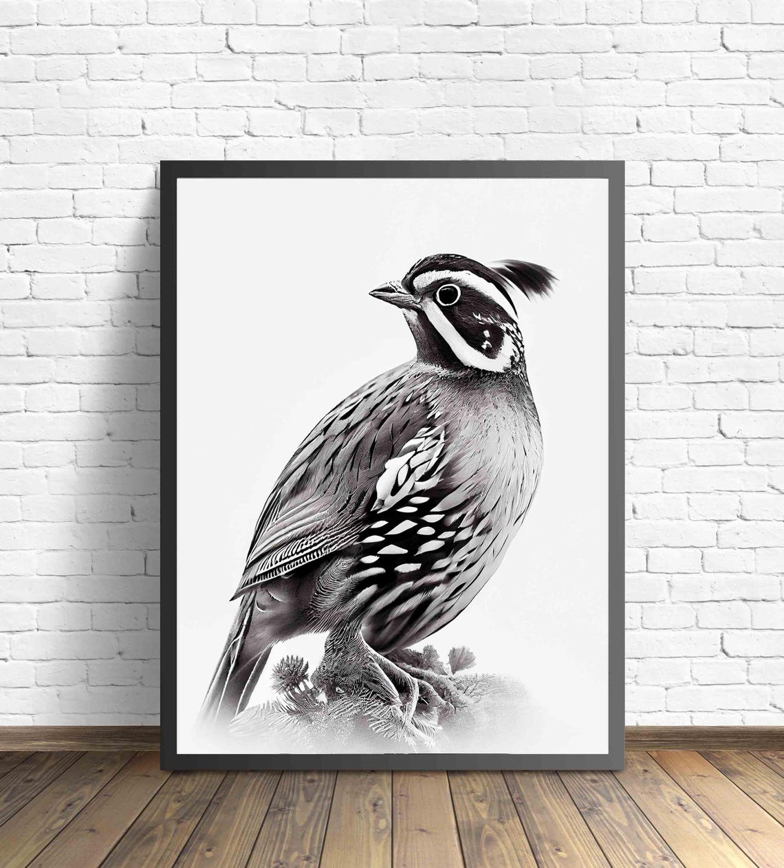 Crested Quail Perched Portrait in Black and White Art Poster - Image 2