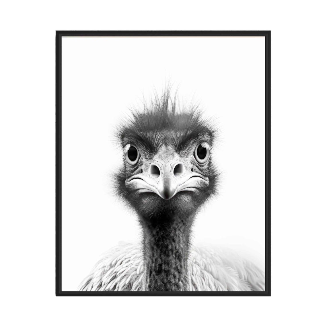 Goofy Wide-Eyed Flightless Bird Face Close Up Black and White Poster