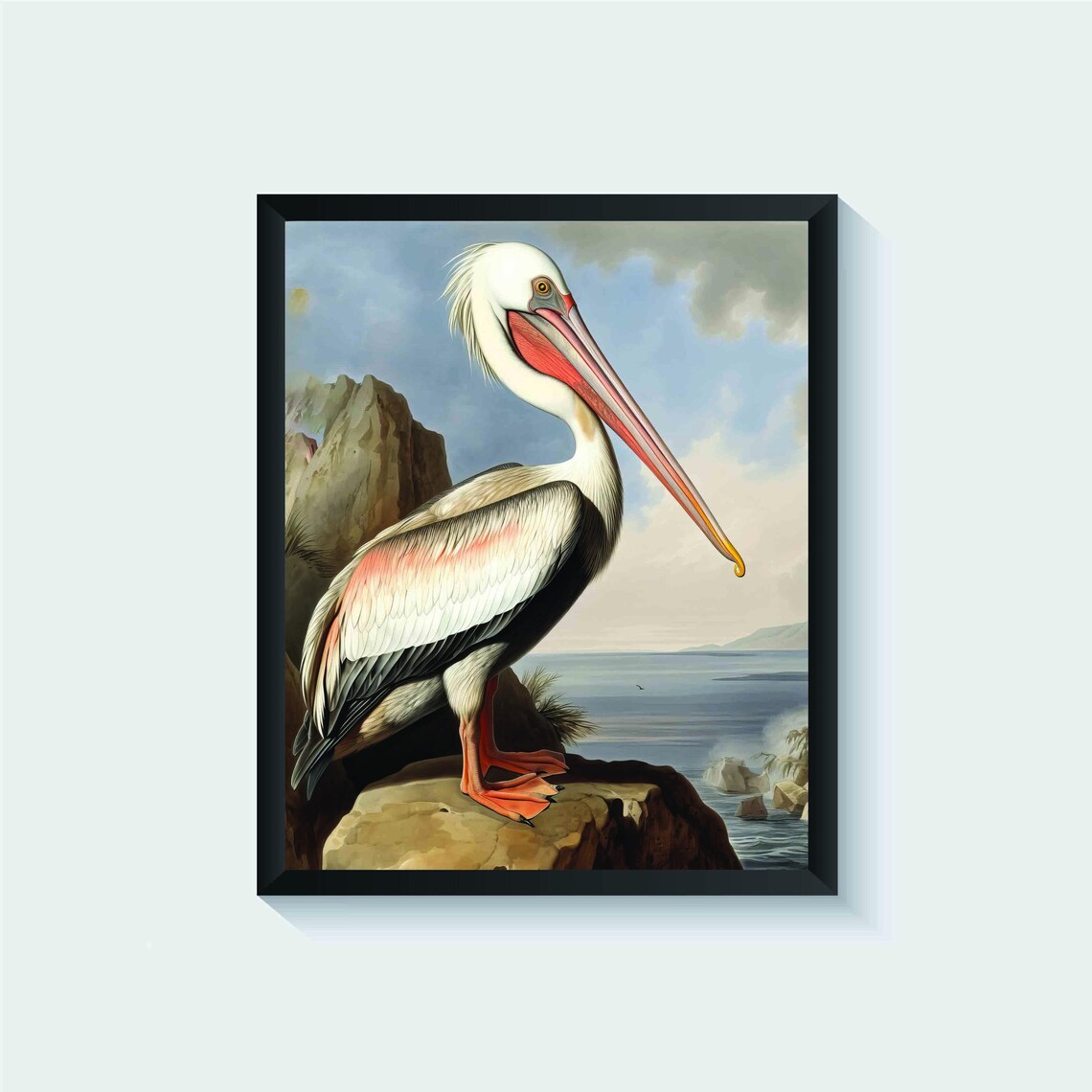 White Pelican on a Coastal Rock Vintage Bird Illustration Poster