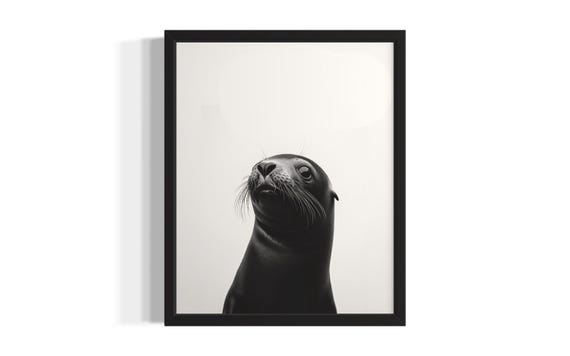 Seal Animal Black And White Poster Art Print Living Room Wall Original Paint Artwork Decor