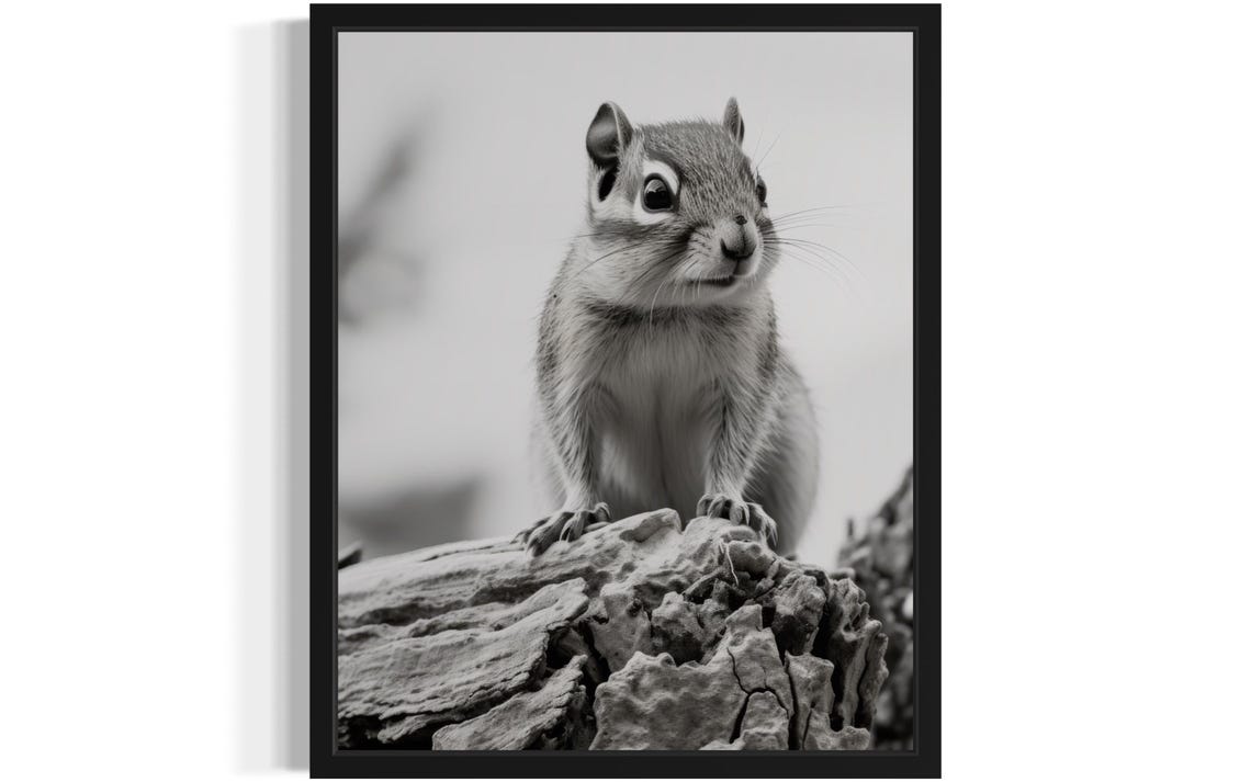 Chipmunk On Rock Close Up Black And White Photo Style Poster