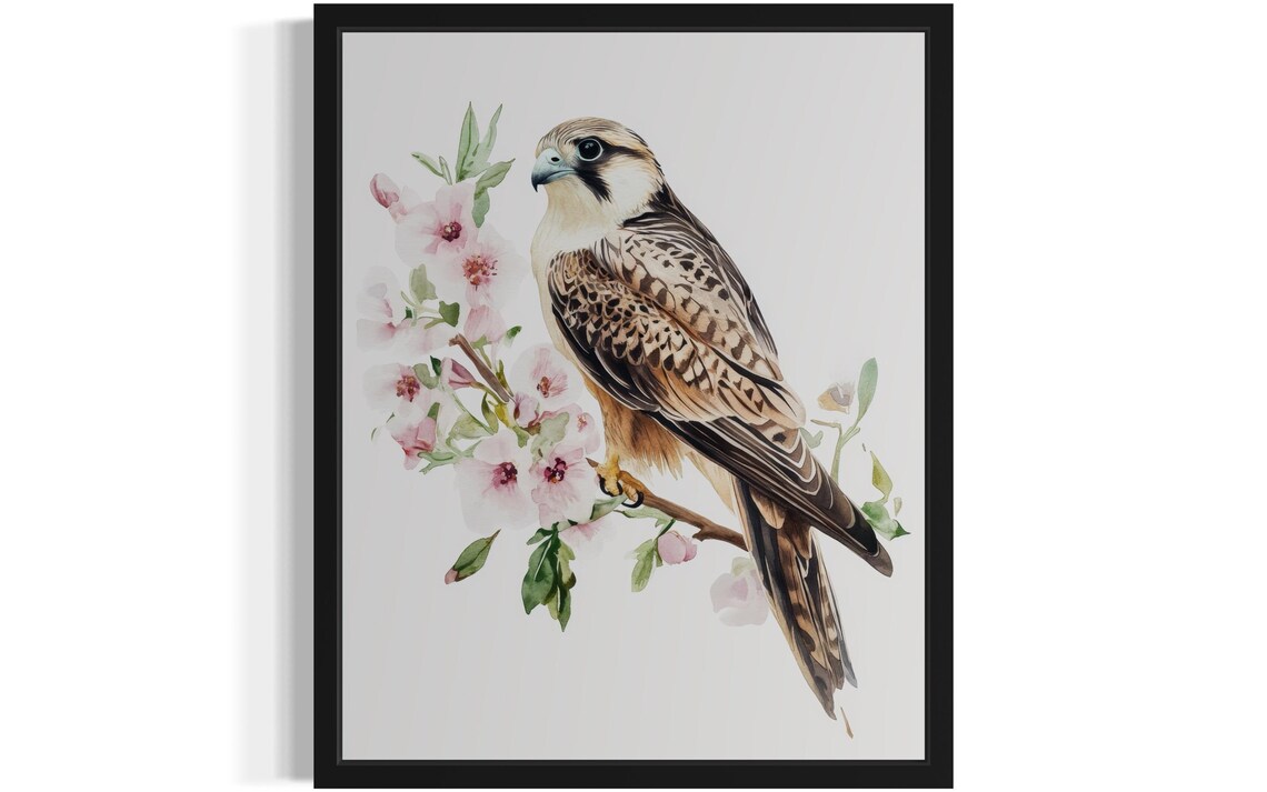 Peregrine Falcon On Cherry Blossom Branch Watercolor Bird Art Print
