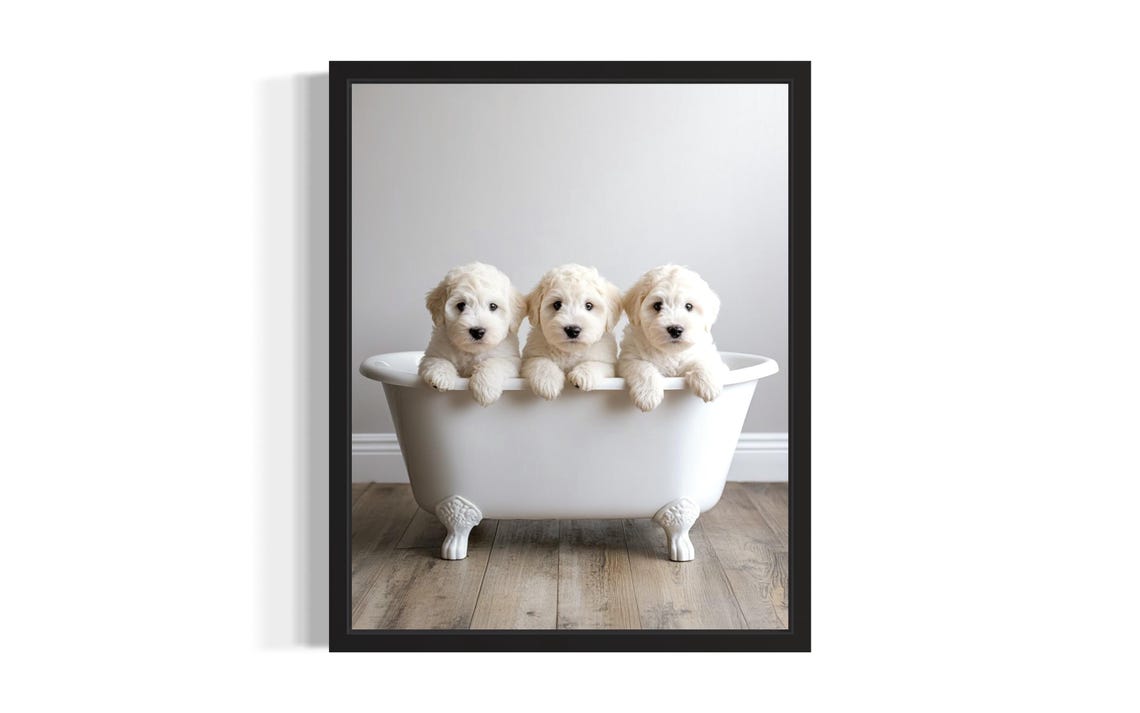 Three White Fluffy Puppies Peeking Over a Clawfoot Tub Cute Dog Poster
