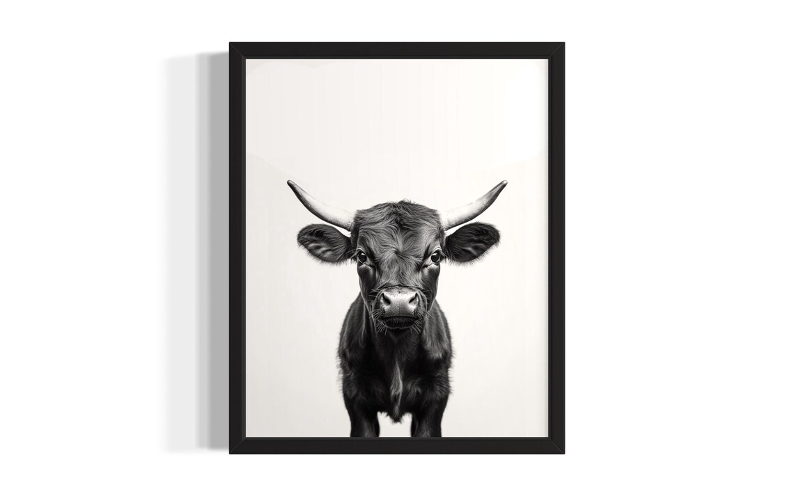 Baby Longhorn Calf Black And White Farm Animal Portrait Poster