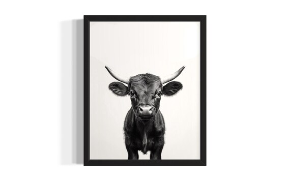Baby Longhorn Calf Black And White Farm Animal Portrait Poster