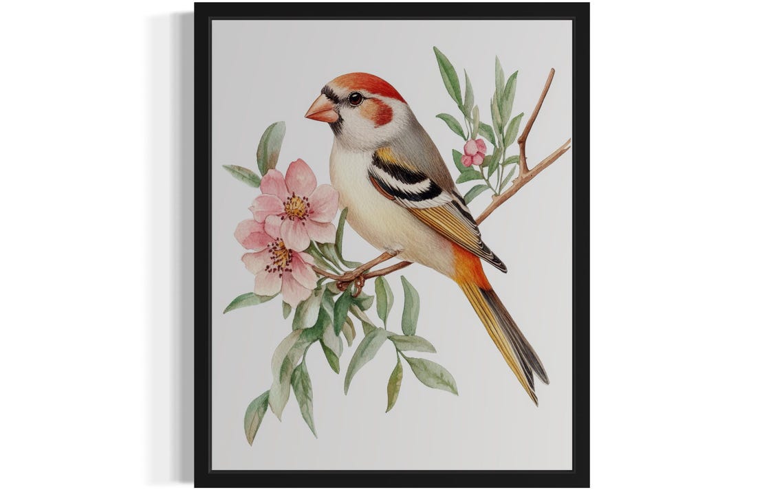 Zebra Finch Watercolor Bird on a Blossom Branch Decorative Art Print