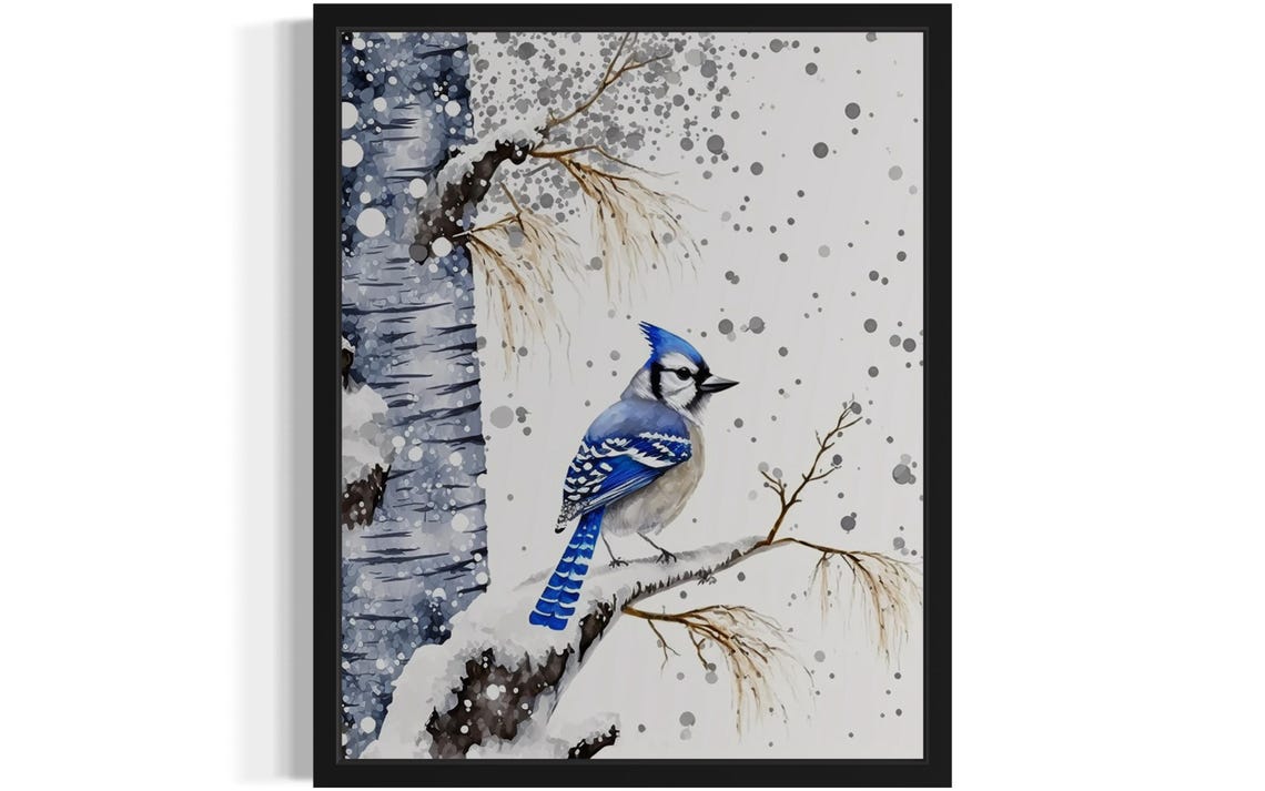 Blue Jay On Snowy Birch Branch In Falling Snow Winter Poster