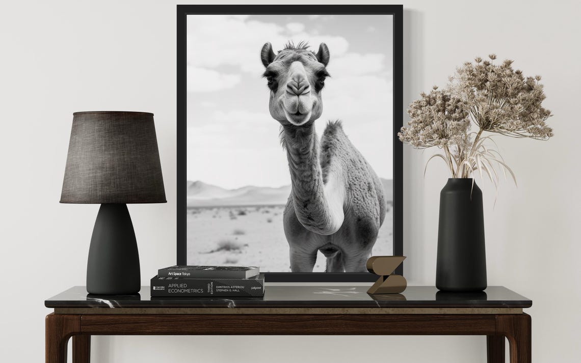 Curious Camel Portrait In Desert Black And White Photo Poster - Image 2