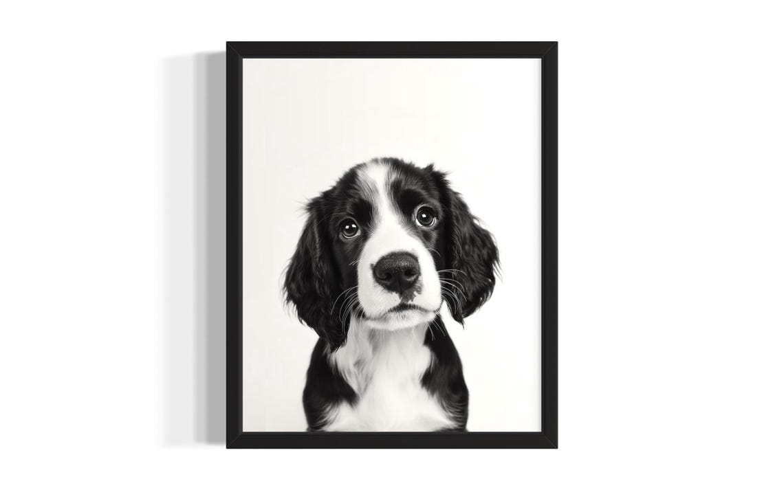 English Springer Spaniel Puppy Portrait Black White Dog Poster