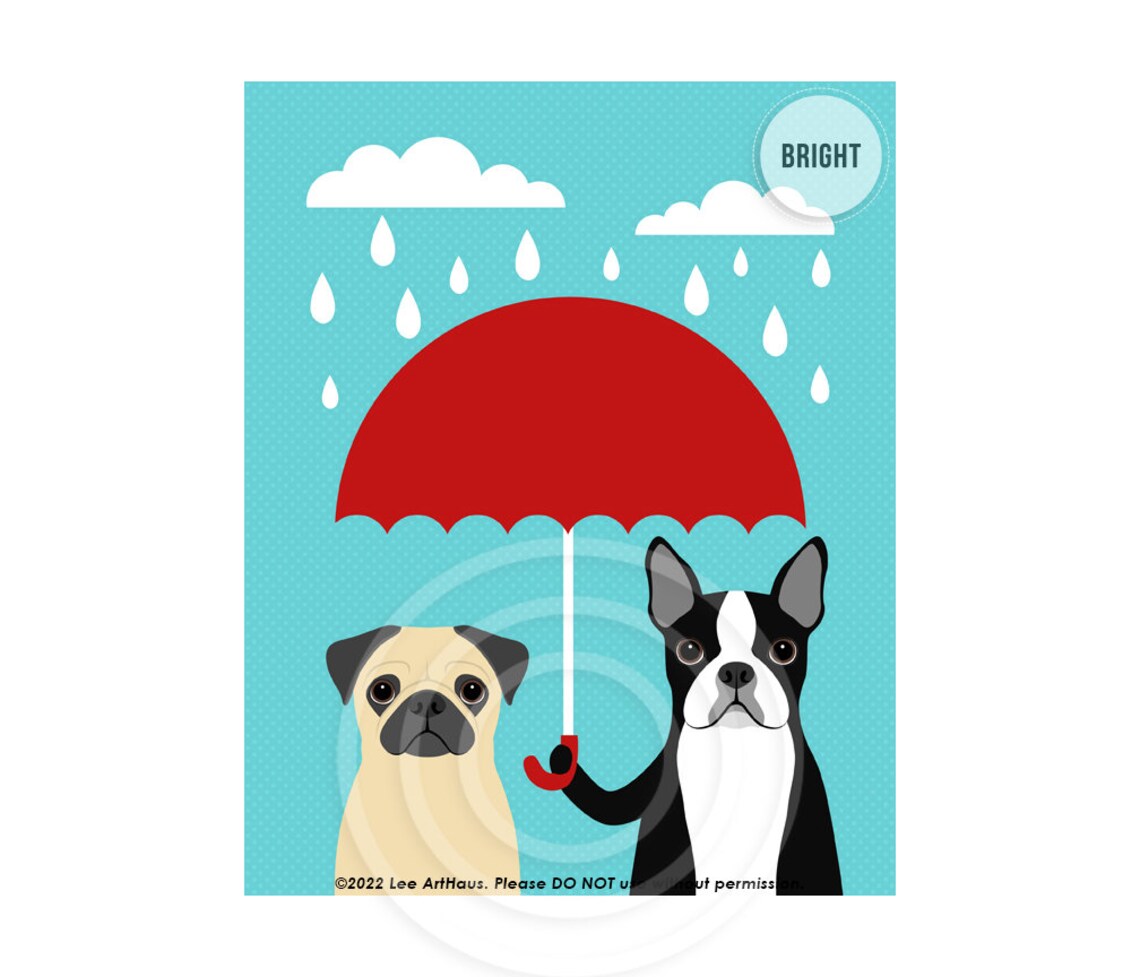 Pug And Boston Terrier Sharing Red Umbrella Rainy Day Dog Poster - Image 2