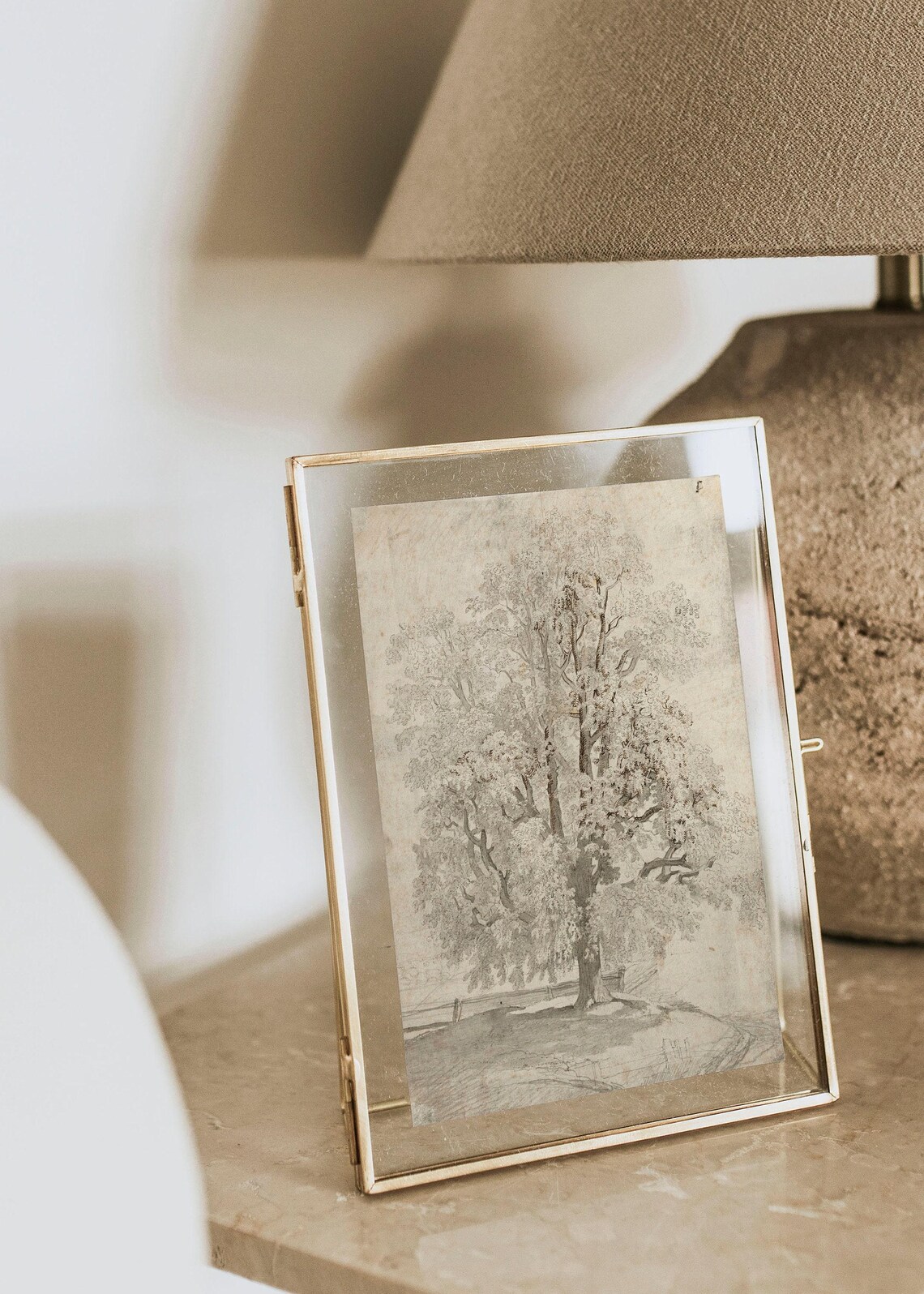 Vintage Tree Drawing, Rustic Wall Art Print - Image 3