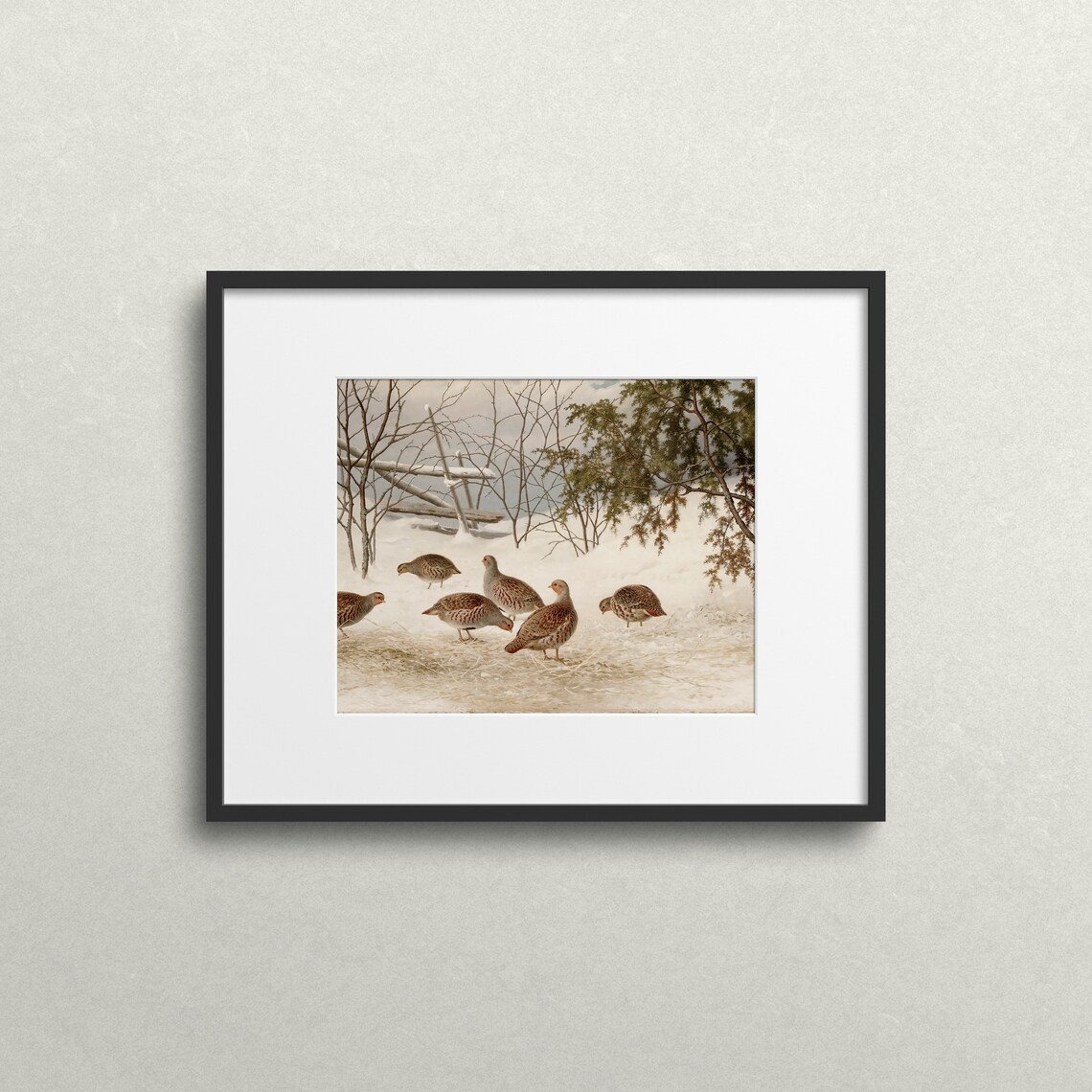 Winter Quail and Partridge, Vintage Bird Art Print - Image 2