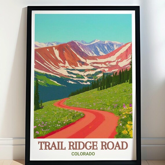 Trail Ridge Road Colorado Wildflower Alpine Meadow Drive Poster