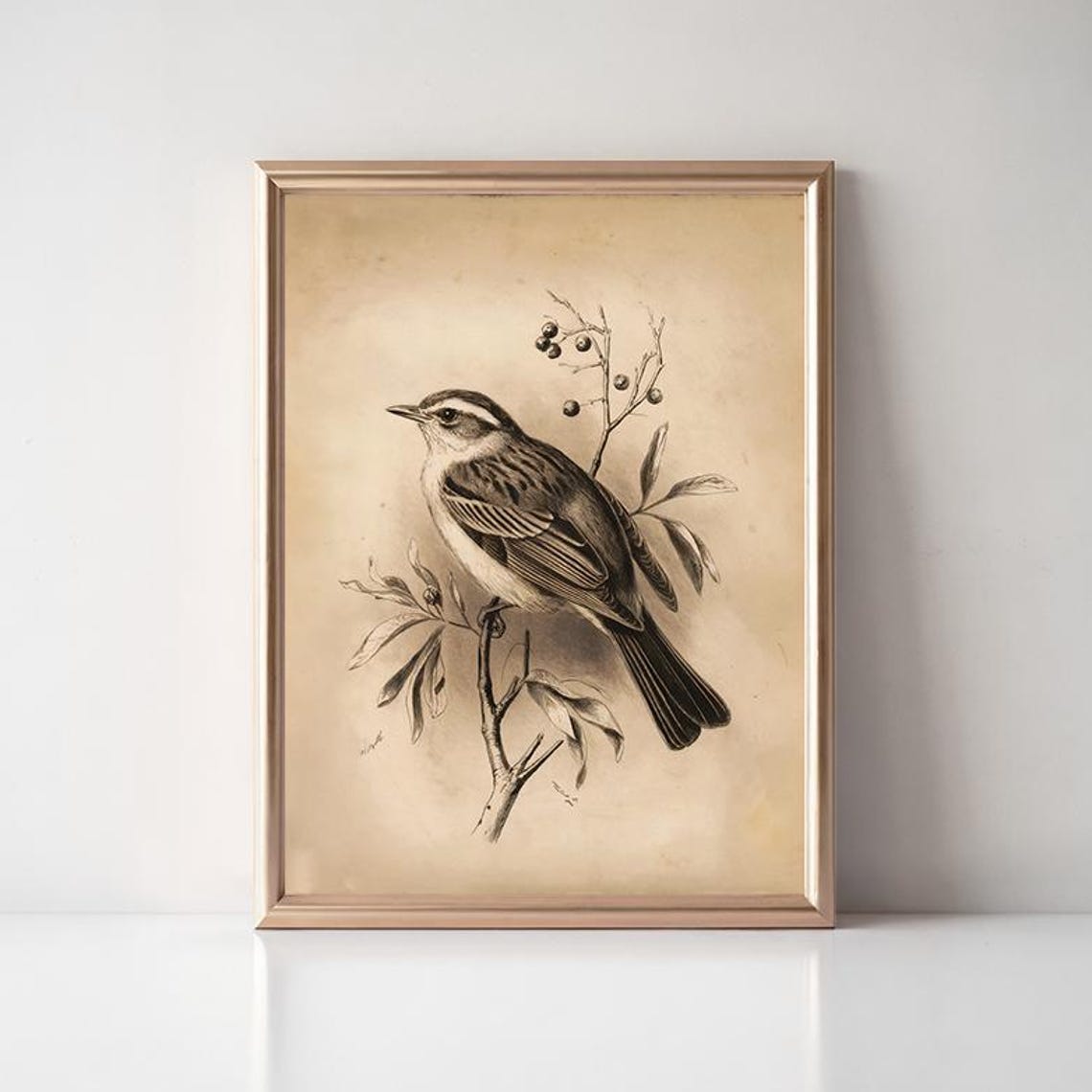 Vintage Songbird Branch Sketch Antique Sepia Bird Illustration Poster