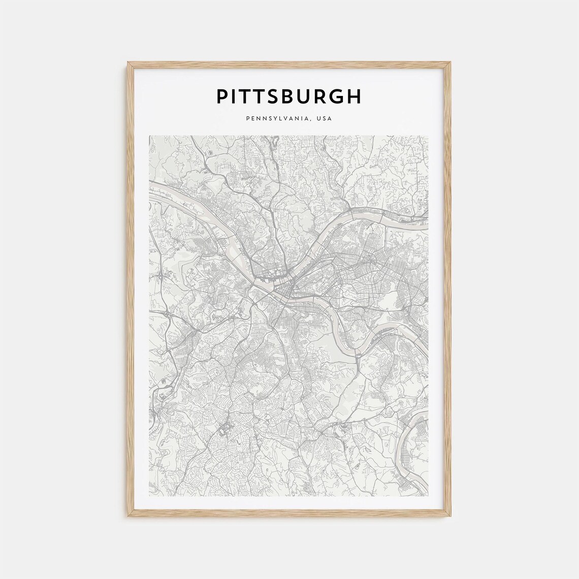 Pittsburgh Pennsylvania Detailed Minimalist Street Map City Poster