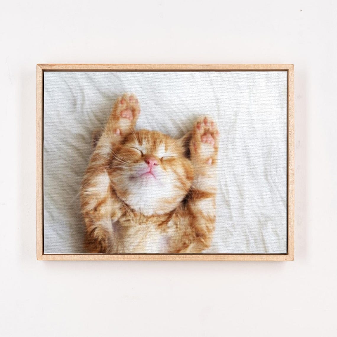 Sleeping Orange Kitten On Its Back Cute Animal Photography Poster - Image 4