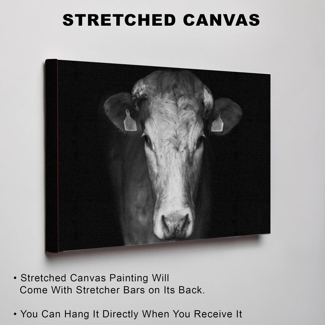 Black and White Cow Portrait on Dark Background Photo Poster - Image 3