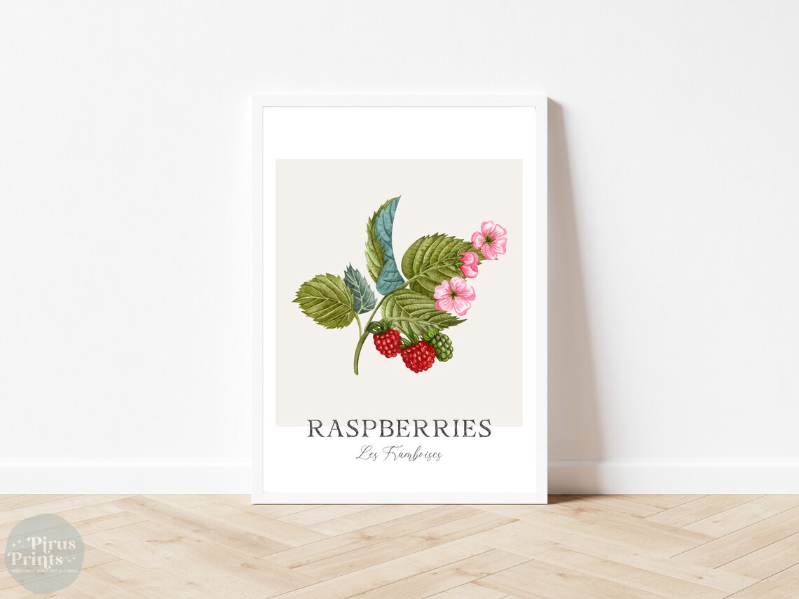 Raspberries Watercolor Botanical Kitchen Art Print - Image 4