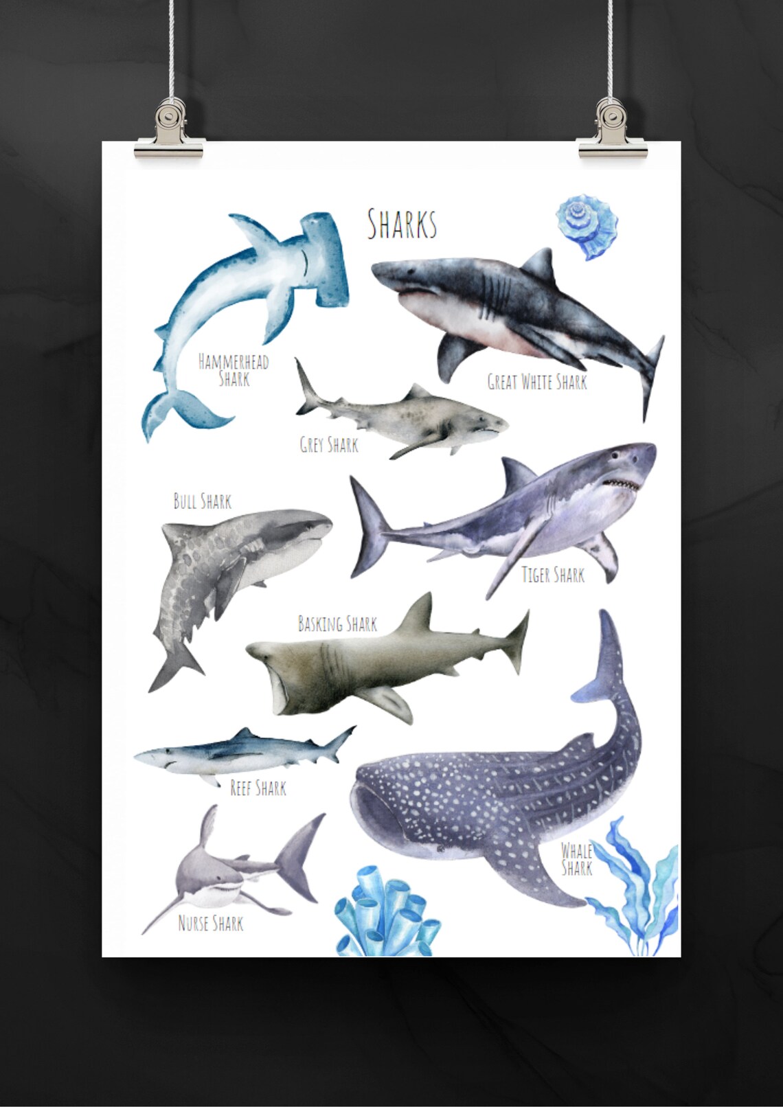 Sharks Poster, Unique Sharks From Around The World - Image 5