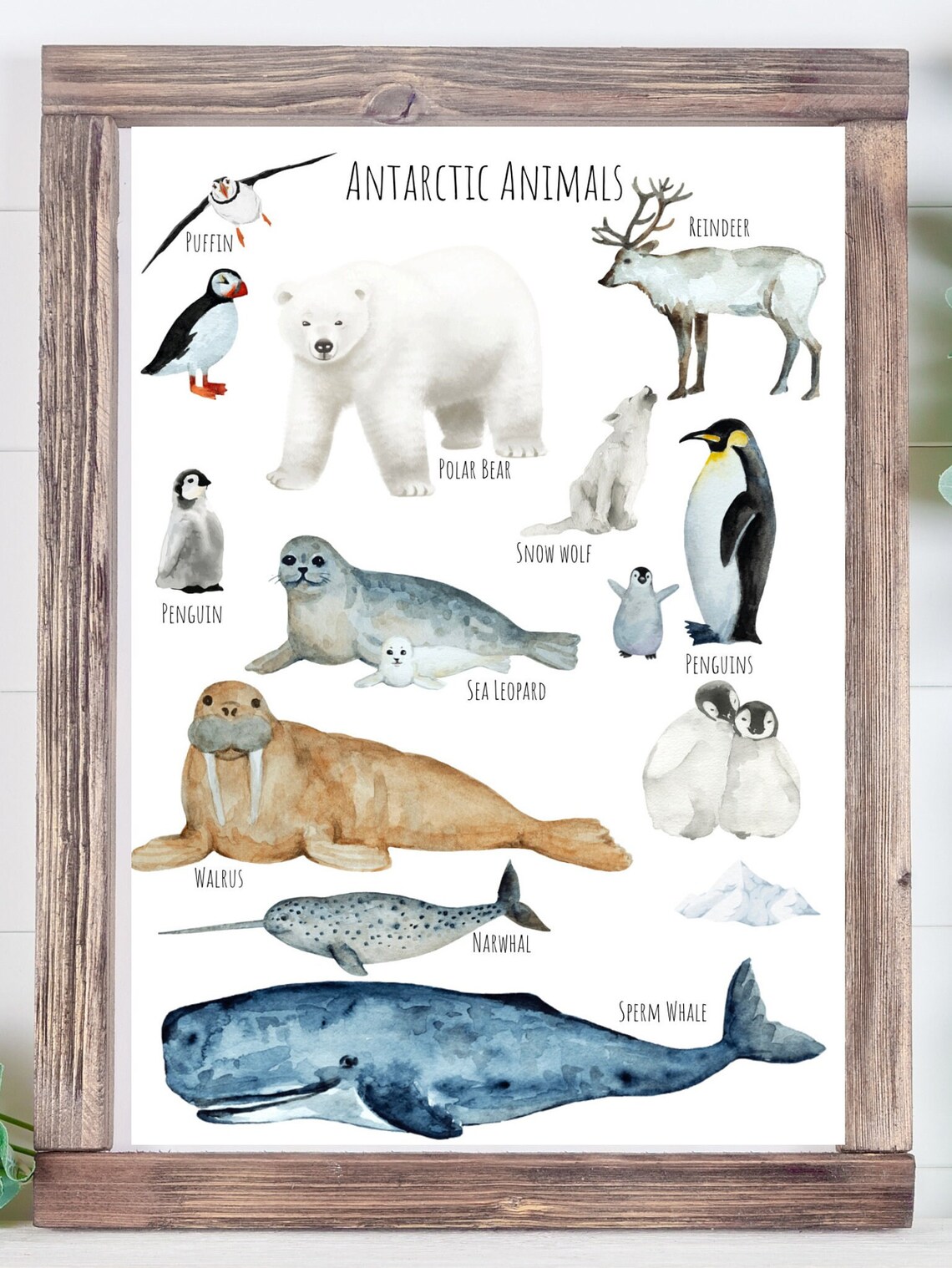 Antarctic Animals Travel Poster, Wildlife Study - Image 3