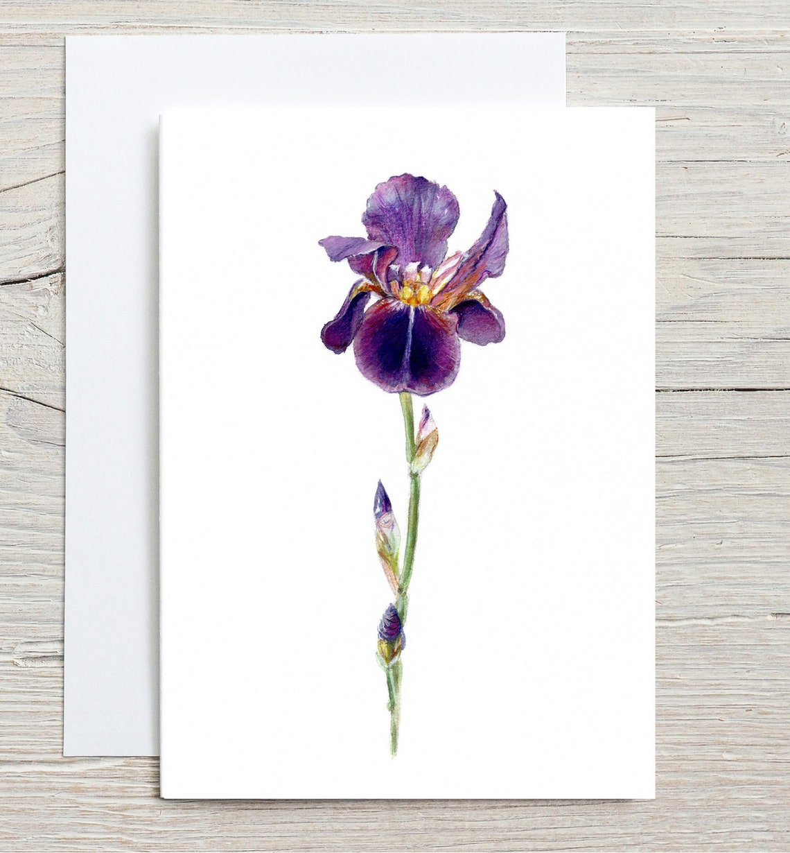 Elegant Purple Iris Watercolor Botanical Flower Greeting Card Print