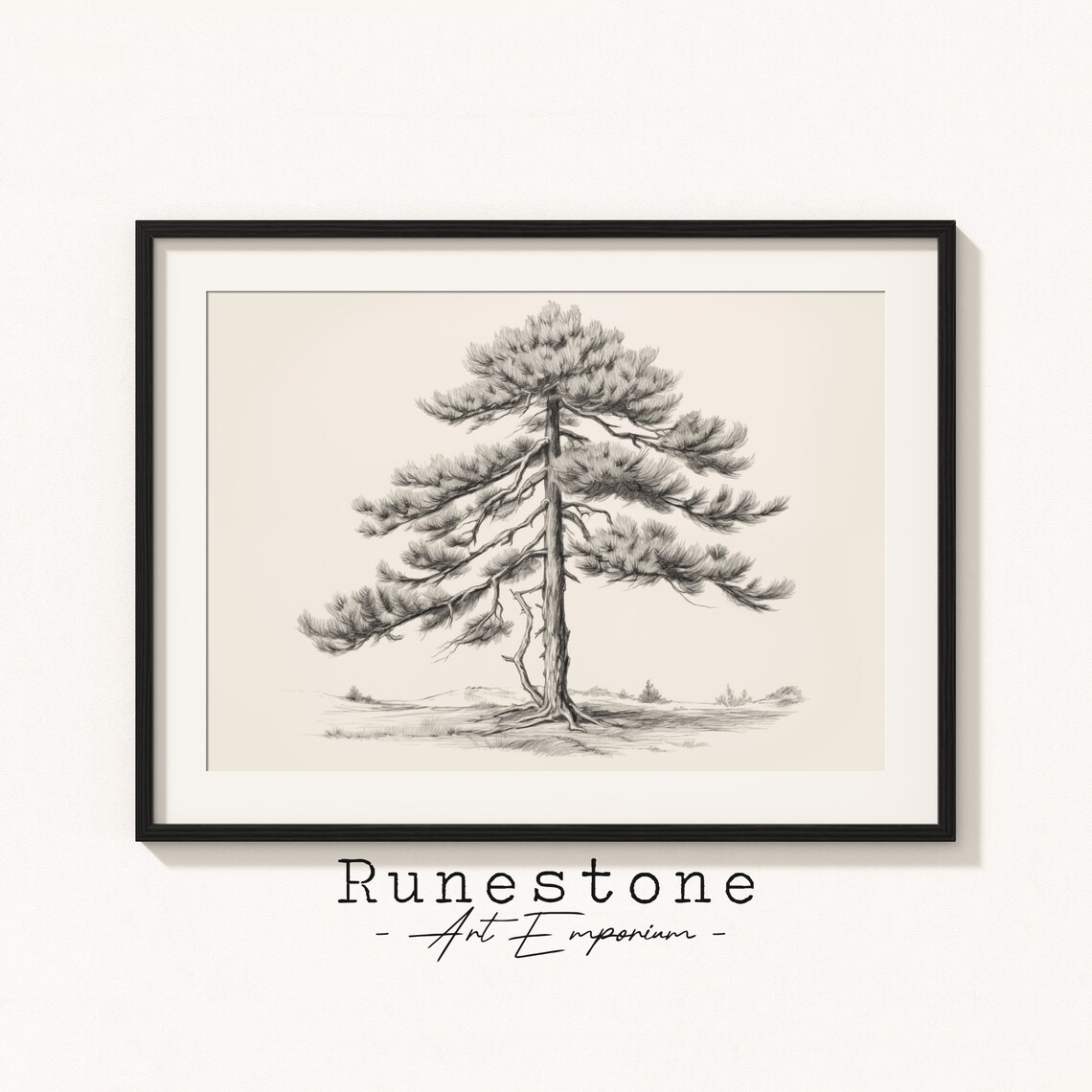 Pine Tree Botanical Sketch, Neutral Art Print