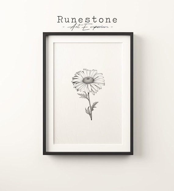 Daisy Flower Pencil Sketch Minimalist Botanical Line Drawing Art Poster