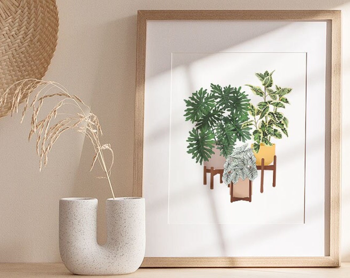 Philodendron Ficus And Caladium Potted Plants Botanical Poster